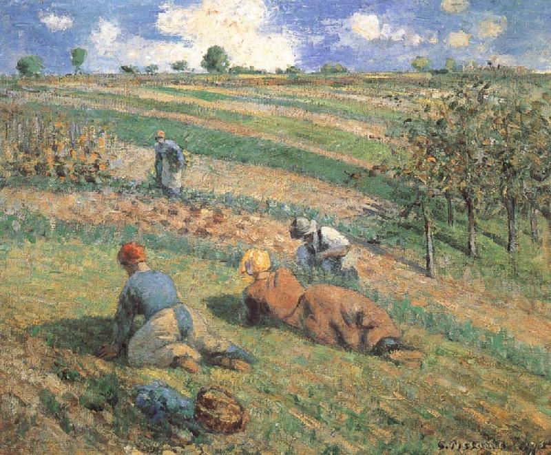 Camille Pissarro Field work Norge oil painting art